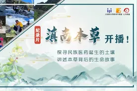 太神奇！雪山采药、尿诊、草药秘方等《雪•域》带你走近古老神秘的藏族医学​图片