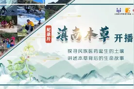 太神奇！雪山采药、尿诊、草药秘方等《雪•域》带你走近古老神秘的藏族医学​图片