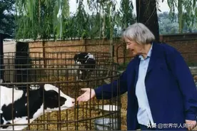​​她是杨振宁师姐、核武专家，却从美国跑到中国，放了一辈子牛图片