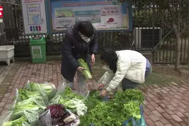 大学生勤工俭学攒下3000元，买500斤滞销蔬菜捐赠隔离人员视频封面