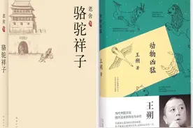 《骆驼祥子》《动物凶猛》：相似“京味儿”文化，不同精神内核图片