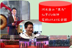 河北唐山“219.81亿帝国”实控人：17岁考上大学 25岁硕士 29岁博士图片
