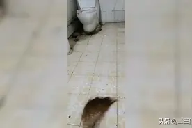 咸阳一出租屋卫生间管道破裂漏水，自家和楼下被淹，这事该谁负责？图片