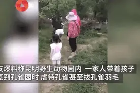 孔雀当场发出惨叫！女子为了拍照好看，一把按住还拔毛图片