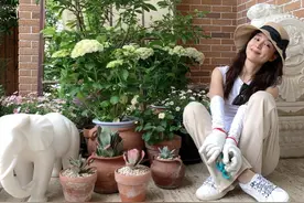 消失6年后，张静初单身生活首曝光！独居大House，与满屋破烂作伴图片