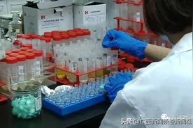 记者探秘广西质检院，这些“硬核武器”保卫舌尖安全图片