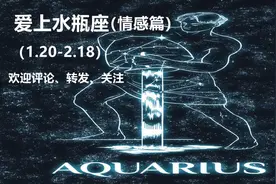 爱上水瓶座（情感篇）图片