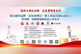 助力湖北品牌“武汉农博会”网上带货直播启动仪式成功举行图片