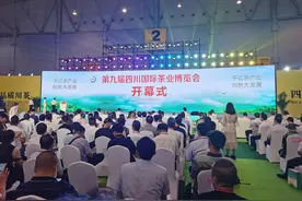 余庆茶亮相四川成都图片