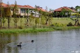 厦门国家会计学院 - 校园美丽有如度假村图片