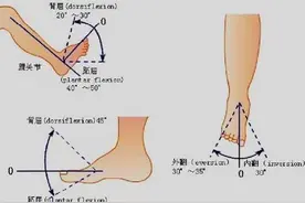踝关节的构造及扭伤机制图片