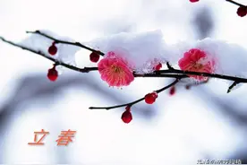 2月3日立春，这天寒冷好还是暖和好？看看这些农谚就知道了图片