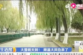 降温大风说来就来，新一轮的降雪明天到！大家出行做好保暖准备视频封面