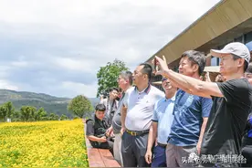 马云在弥勒，他用手机拍下了一张图！猜猜是啥？图片