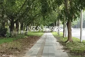 东莞买房记 真实亲身经历图片