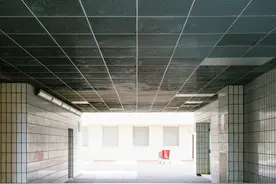 现代社会几个畸形现象，你是否能理解，又能否接受呢图片