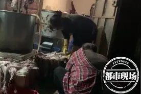 南昌一小区居民，凌晨总被鸡鸭“惨叫”声惊醒！城管现场查处图片