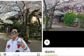 明知故犯绝不能有好下场#张哲瀚图片
