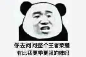 表情包 | 你问整个王者荣耀问问，有比我更乖更强的妹吗图片