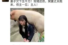 吴亦凡重生归来，战神：我好不容易归来，就给我住狗窝？图片
