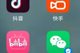 儿子打赏主播158万！气得我把所有平台青少年模式bug都挖出来了图片