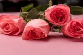 聪明的女人，都不爱说话图片