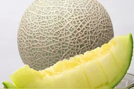 玫珑蜜瓜，2021年的第一抹绿图片