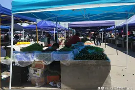 坐标满洲里，跟我逛逛边境小城的早市吧，这几样蔬菜爱吃吗图片