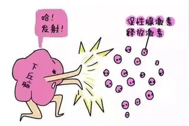 试管婴儿：7个流程祝您好“孕”图片