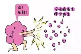 试管婴儿：7个流程祝您好“孕”图片