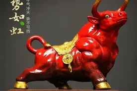 北交所首批新股申购指南图片