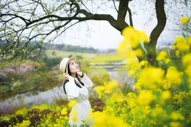 油菜花怎么拍才好看？别忽略这几点图片