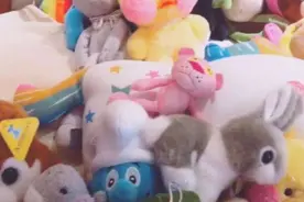 “成年人幼稚化”：遵循天性，让孩子做当下年龄该做的事情图片