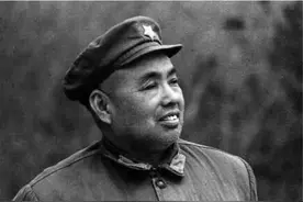 许世友用“铁砂掌”教育许华山，许桑园抽泣道：爸爸，你打错人了图片