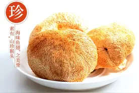 能养胃的猴头菇，与熊掌燕窝鱼翅齐名您会吃吗？图片