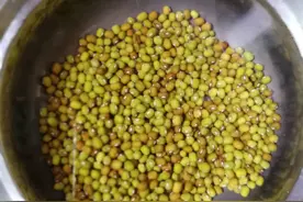 鸽子绿豆汤的做法图片