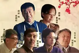 《情满四合院》一个分裂但有看头的电视剧图片