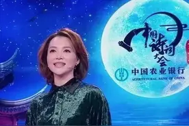 龙洋的颜值，董卿的才；郦波的骚诗，康震的画｜背诗会还有救吗？图片