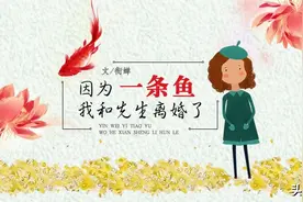因为一条鱼，我和先生离婚了图片
