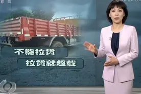 蓝牌轻卡市场或将动荡 商用皮卡是聪明人的选择图片