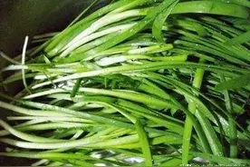 韭菜中检出镉超标，什么因素导致？哪些食材能助力重金属元素排出体外？图片
