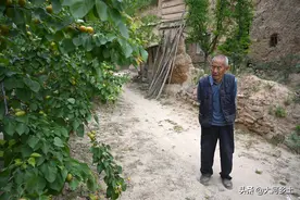 晋南一孔200多年的土窑，至今稳固不坍塌，老人说是3斤面换的图片