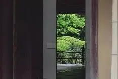 做一个深情的人图片
