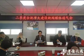 合肥推进骆岗中央公园建设 二季度合肥大建设投资约780亿图片