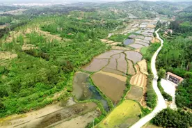 杨冲村：多元产业助力“摘帽出列” ——安陆市贫困村脱贫路径探究②图片