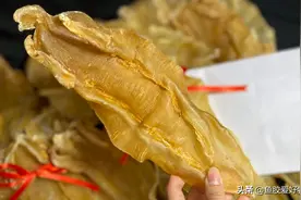 北海胶：近年来花胶界的新宠，今年最火的鱼胶之一，值得我们选吗图片