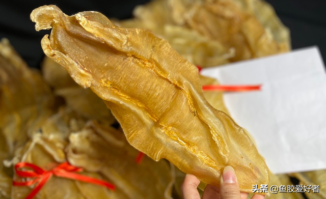 黄花皎北海花胶 2026年北海黄花胶的功效与作用