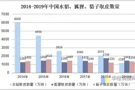 毛皮行业发展现状及发展策略分析，政府应加大扶持力度「图」图片
