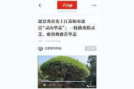 水绘园中一盆景似灵芝！为冒辟疆家中唯一留存盆景……图片