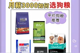 平价又好用的5款国产狗粮，口碑高，无限回购图片